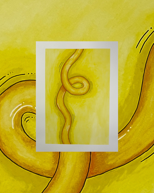 Knotted Colour Study - 'Joy'