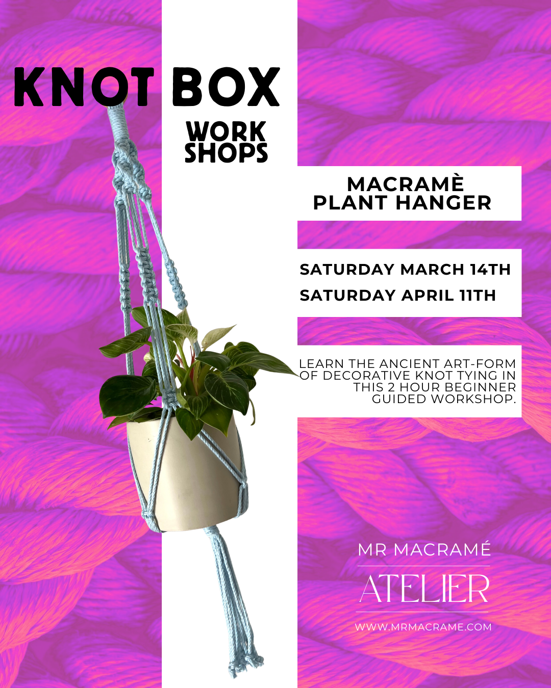 Plant Hanger Workshop