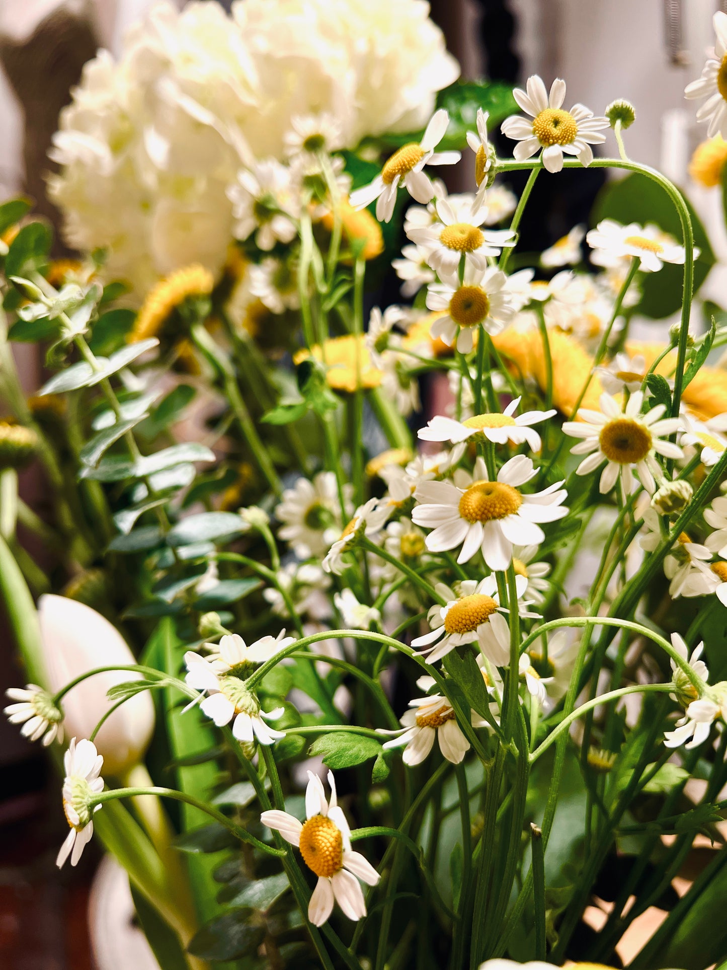 Spring-time Florals & Macramé Vase Workshop